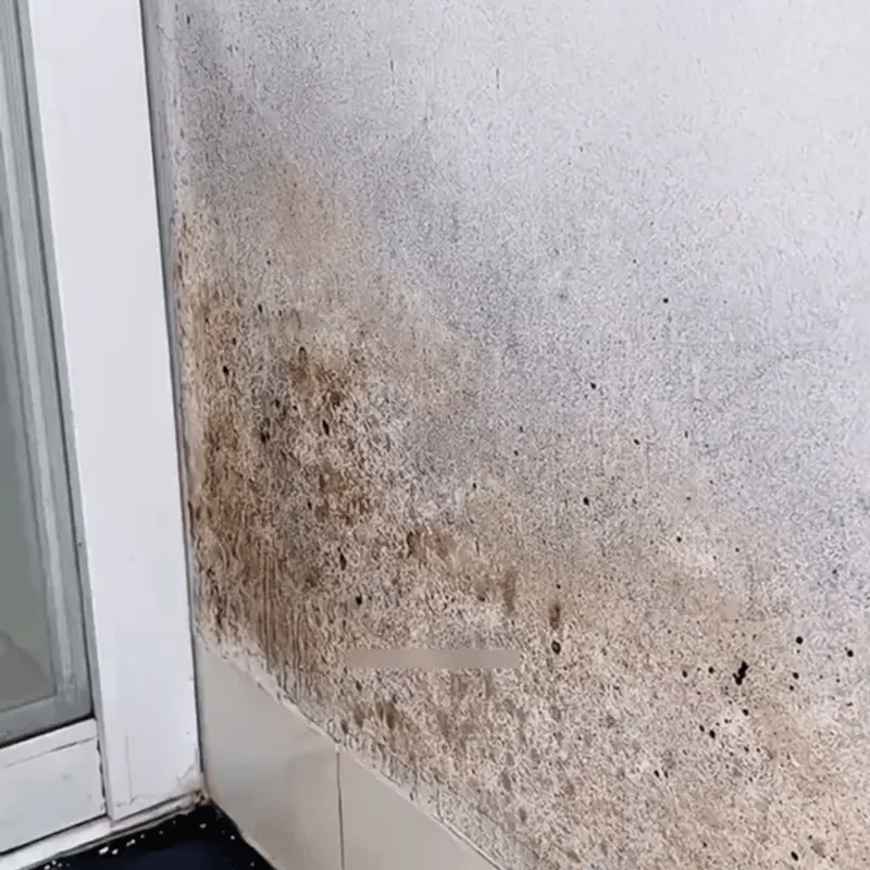 Mold Remover – Spray a Nedvesség és Penész Eltávolítására Kellemes Illattal