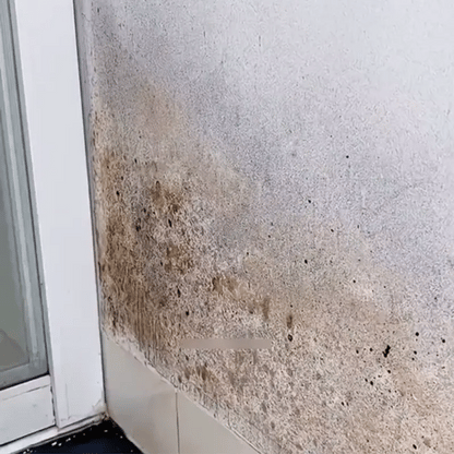 Mold Remover – Spray a Nedvesség és Penész Eltávolítására Kellemes Illattal