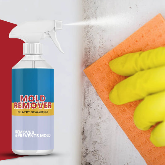 Mold Remover – Spray a Nedvesség és Penész Eltávolítására Kellemes Illattal